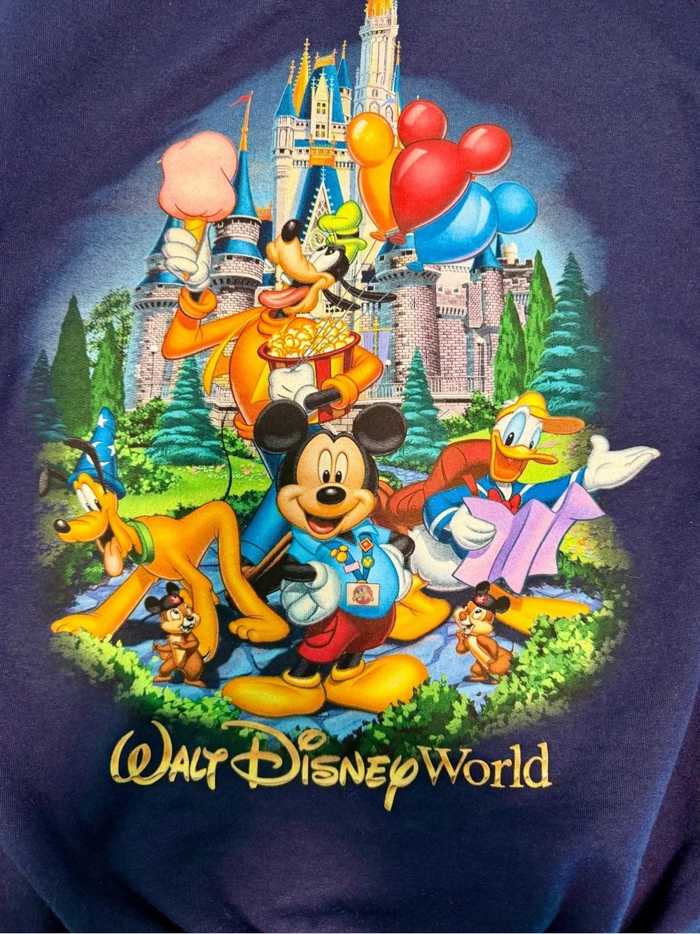 Disney measurements mouse
